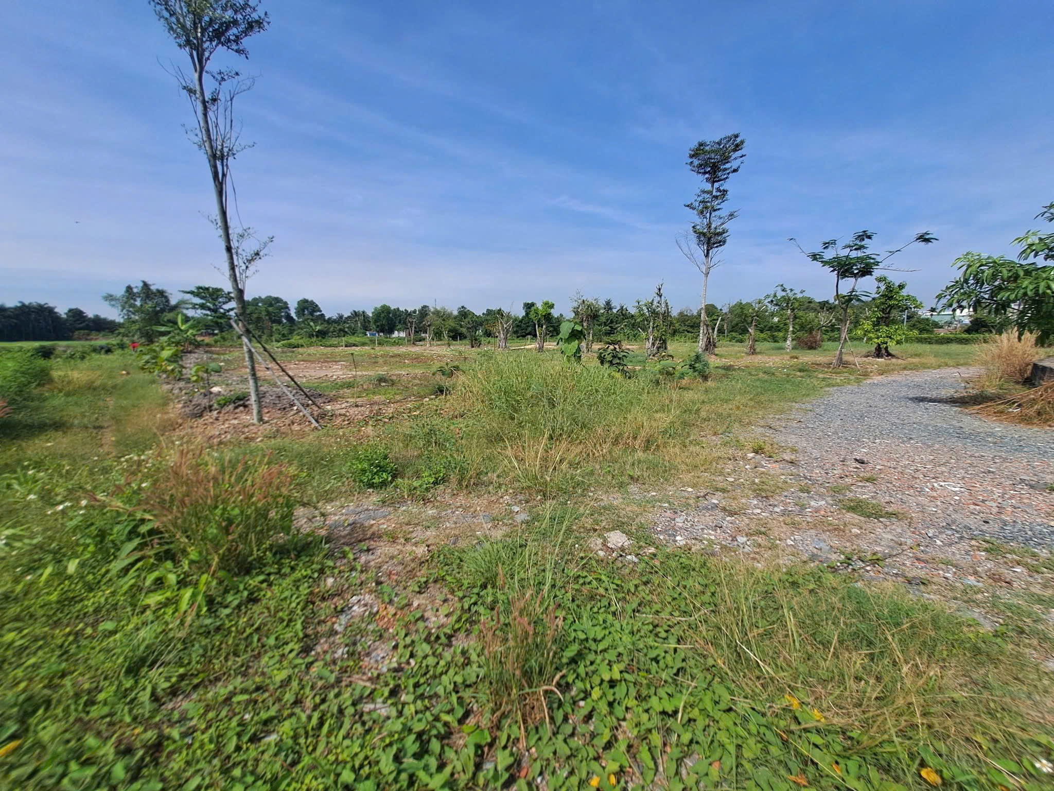  CHỦ NGỘP BÁN GẤP 2 LÔ ĐẤT NHỊ BÌNH – ĐƯỜNG XE TẢI – GIÁ CỰC TỐT 