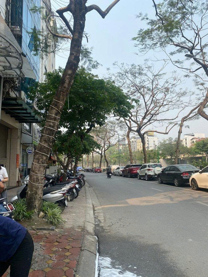  CẦU GIẤY – LÔ ĐẤT 230M² MẶT TIỀN 15M – HÀNG HIẾM “KHÔNG CÓ LẦN 2” – GIÁ CHẠM ĐÁY KHU VỰC 