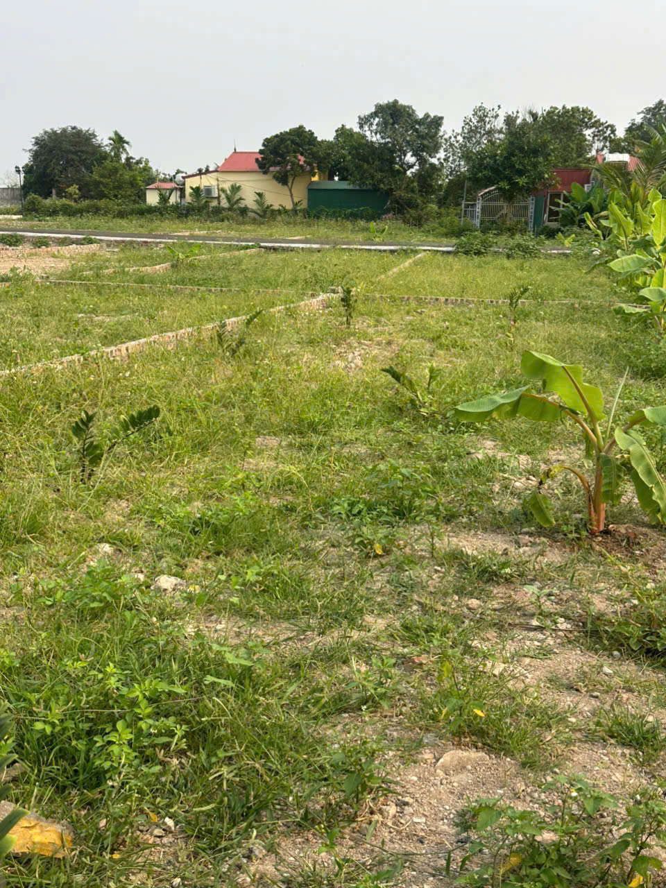  ► CHÍNH CHỦ BÁN ĐẤT ĐẸP – NGHĨA SƠN, NAM ĐỒ SƠN, HẢI PHÒNG 