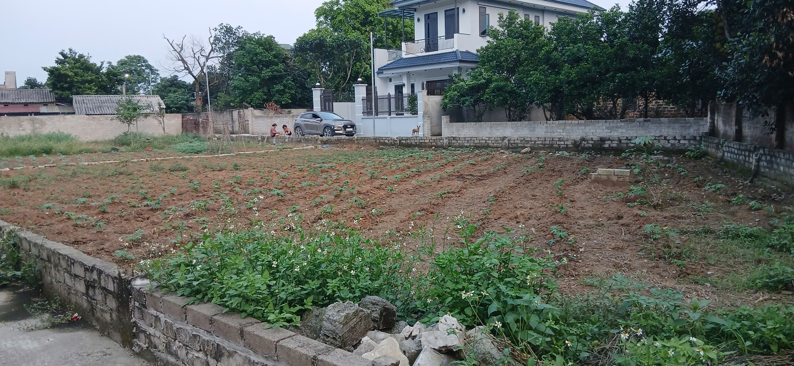  Duy nhất còn sót lại lô đất 230m , tại Phú Cát , sẵn sổ đỏ , giá chỉ 2 tỷ 