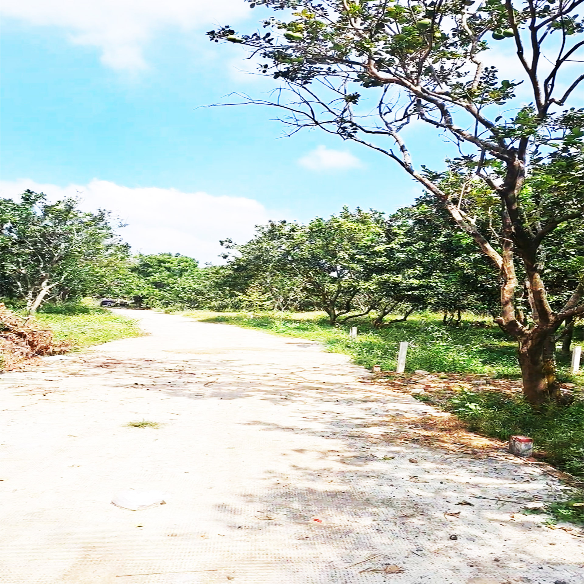  CHỈ 216Tr/m MẶT TIỀN BÊ TÔNG GẦN THCS LÊ A, KCN LONG KHÁNH, P. BÌNH LỘC, ĐN 