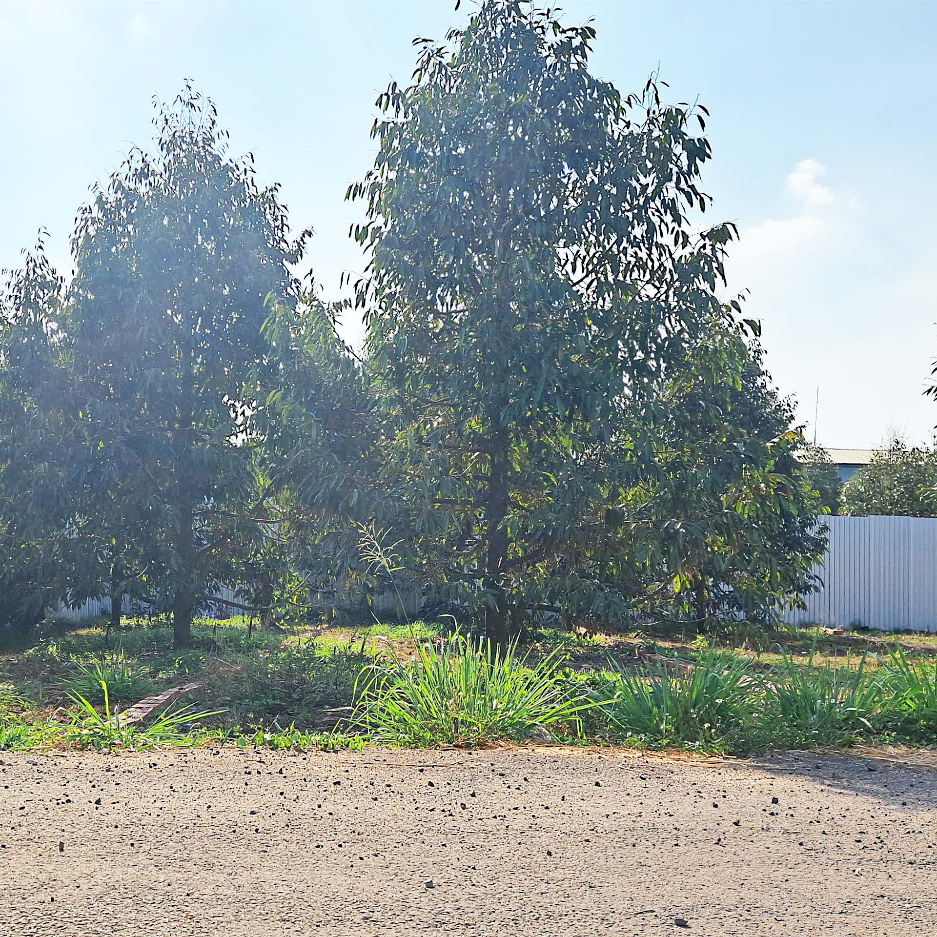  5x26 MT NHỰA LỚN  NGAY DT770B và KDC XUÂN TÂN, TP LONG KHÁNH. ĐN 