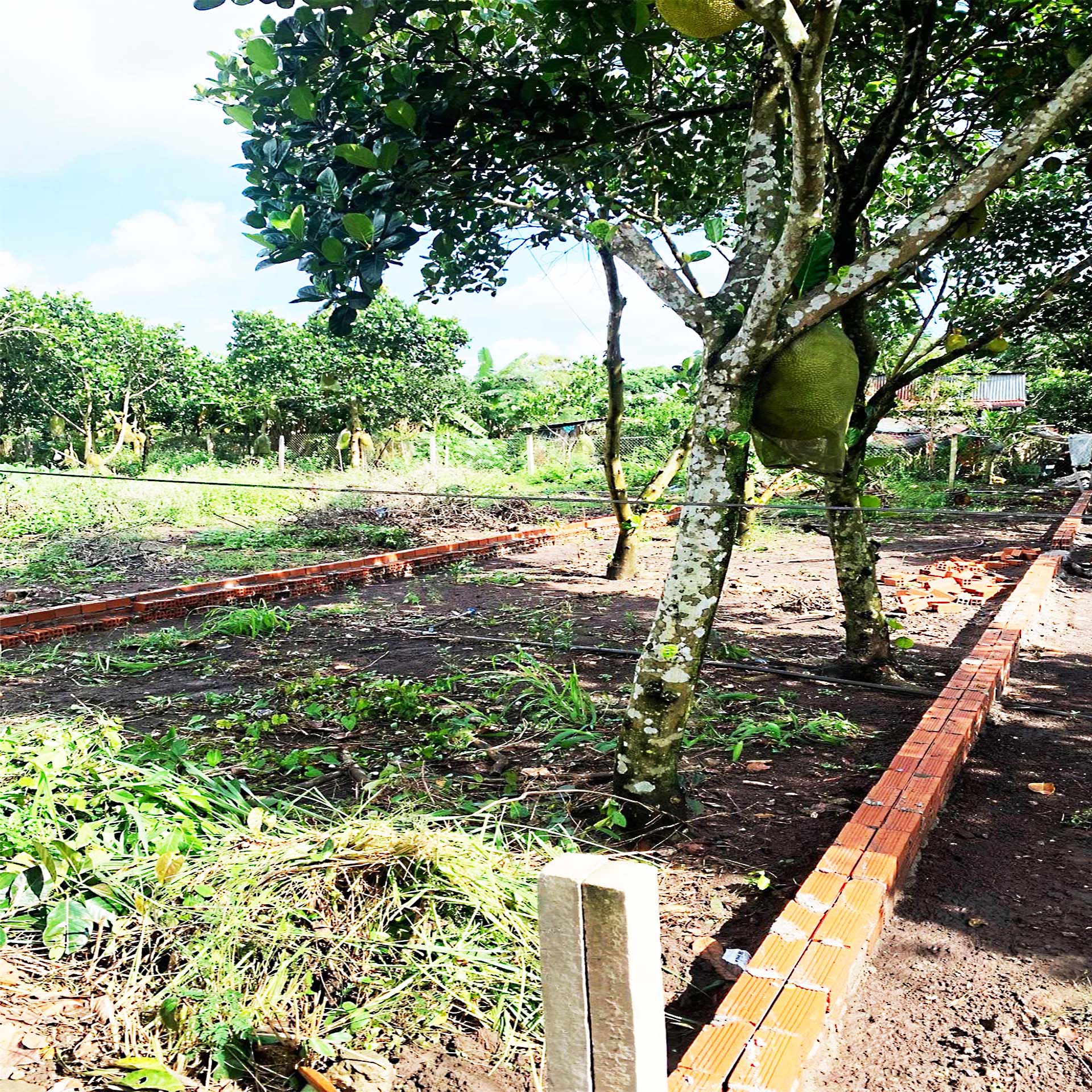  121m2 NGAY DỐC ĐỒN, P BẢO VINH, LONG KHÁNH, ĐN. GIÁ CHỈ 890Tr 