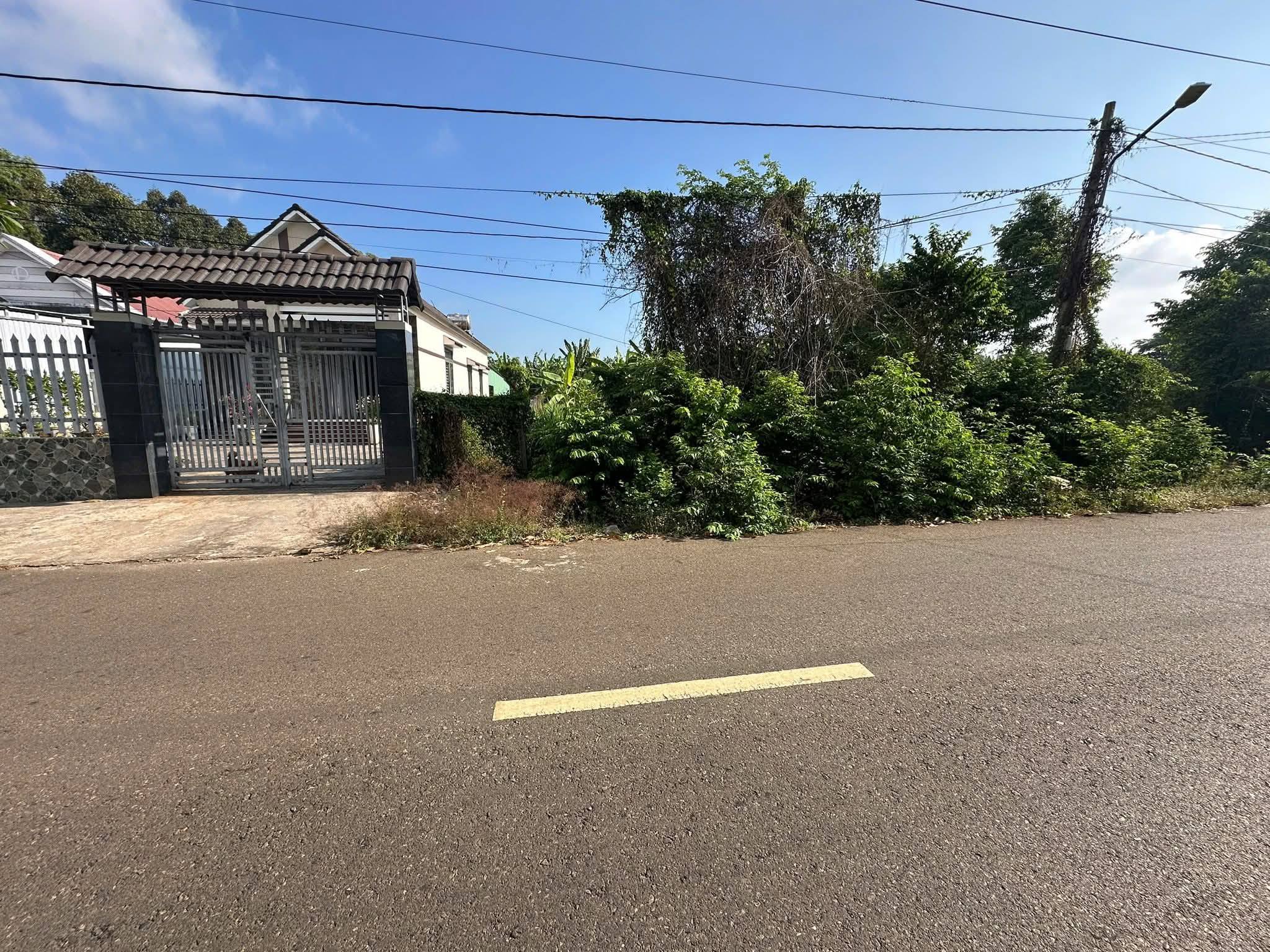  BÁN ĐẤT BIỆT THỰ VƯỜN ĐƯỜNG SỐ 7 – LONG PHƯỚC, TP. BÀ RỊA 