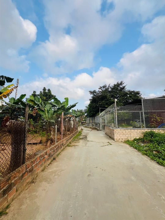  BÁN ĐẤT THIÊN HƯƠNG – THUỶ NGUYÊN – NGÕ 5M Ô TÔ – GIÁ 1,68 TỶ 