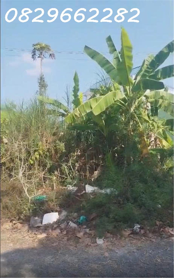  Chỉ 10 triệu/ m2, Sở Hữu Ngay Đất Thổ Cư Sổ Hồng Riêng 96m2 Đường Nhựa, KDC đường 853, Tân Phú Đông, TP Sa Đéc. 