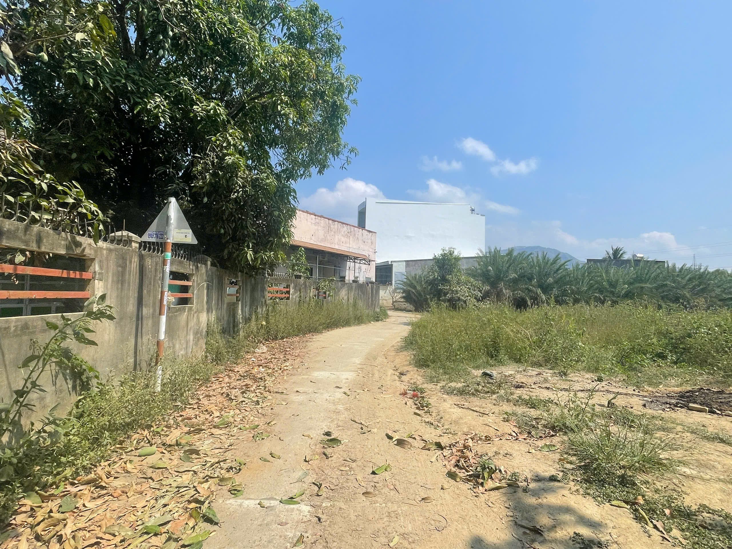  Đất Bầu Sen – Full Thổ – Gần Nha Trang – 770tr/lô 