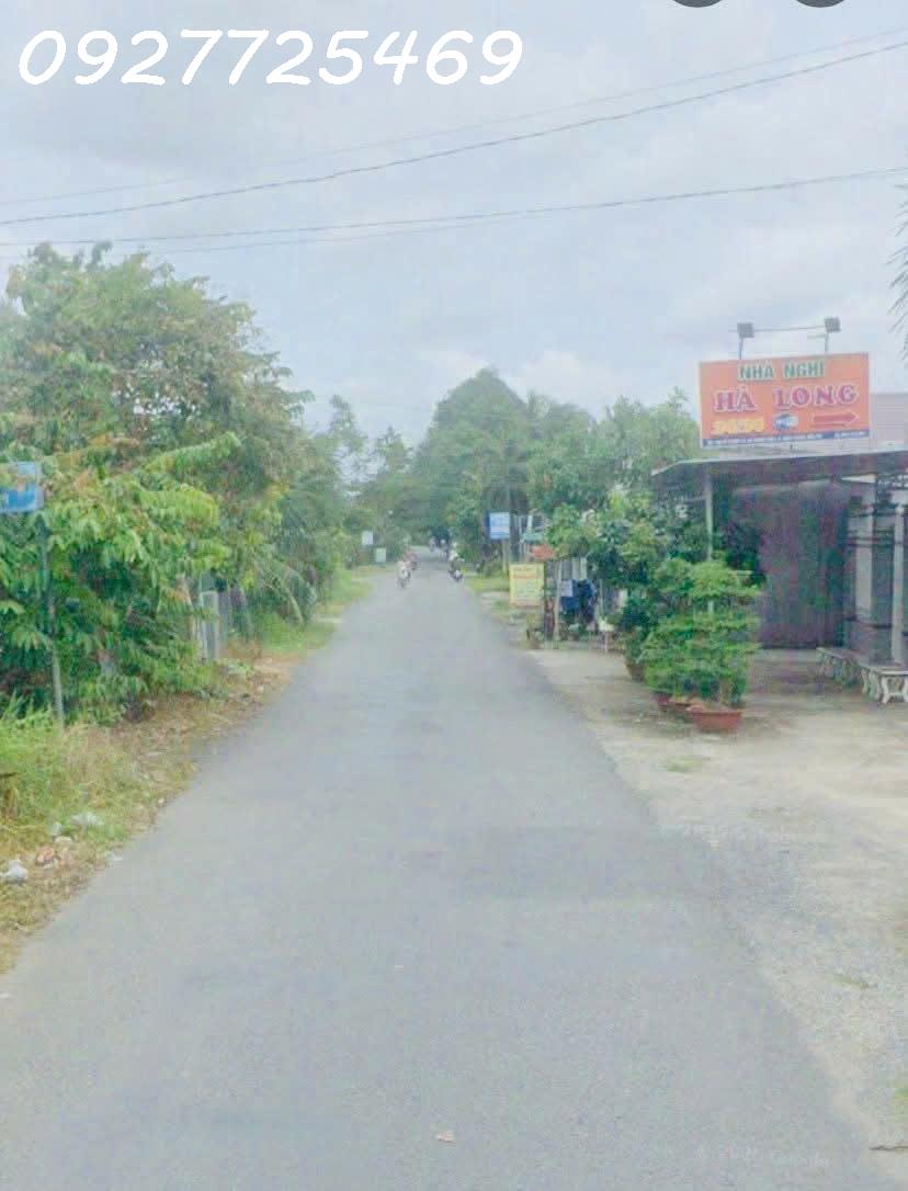 Bán gần 2 công 8 vườn sầu riêng Ri6 7năm tuổi xã Thành Triệu - Bến Tre 