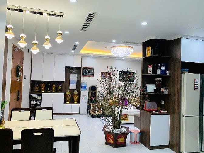  Chính chủ cho thuê căn hộ 3 ngủ,căn góc,view thoáng cc Vietduc Complex 187 Nguyễn Tuân 