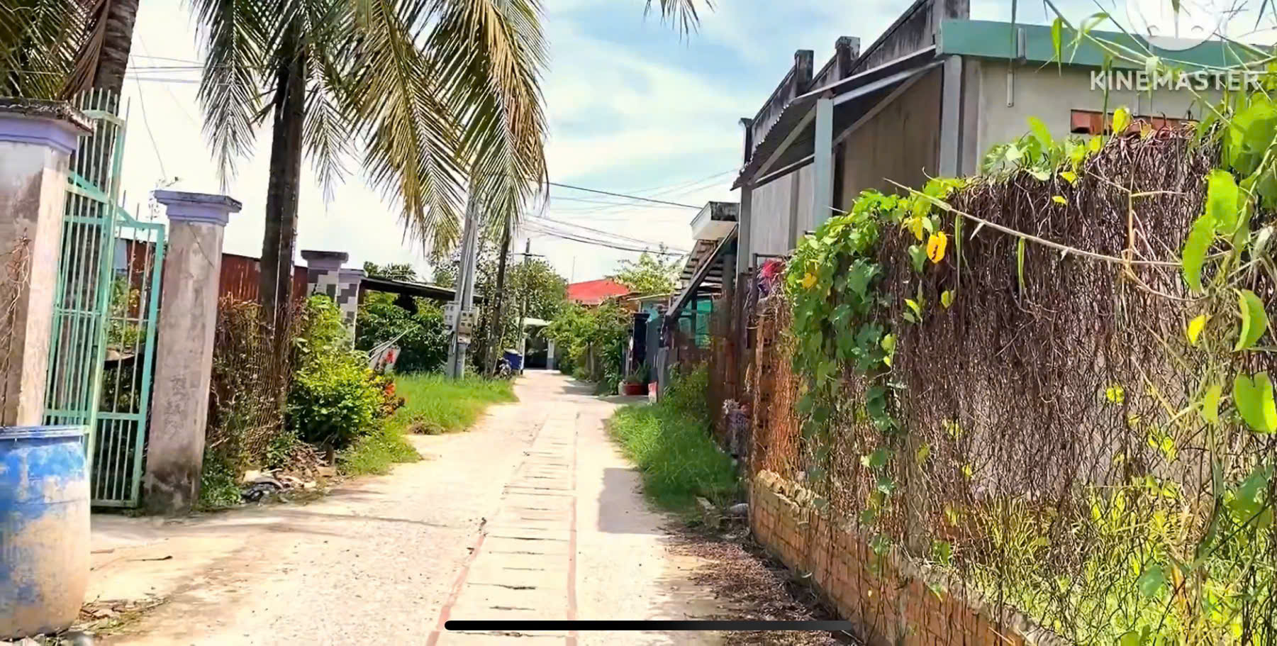  CẦN BÁN LÔ ĐẤT VỊ TRÍ ĐẸP SAU CHỢ PHƯỚC TRẠCH – XÃ PHƯỚC TRẠCH, HUYỆN GÒ DẦU, TỈNH TÂY NINH 