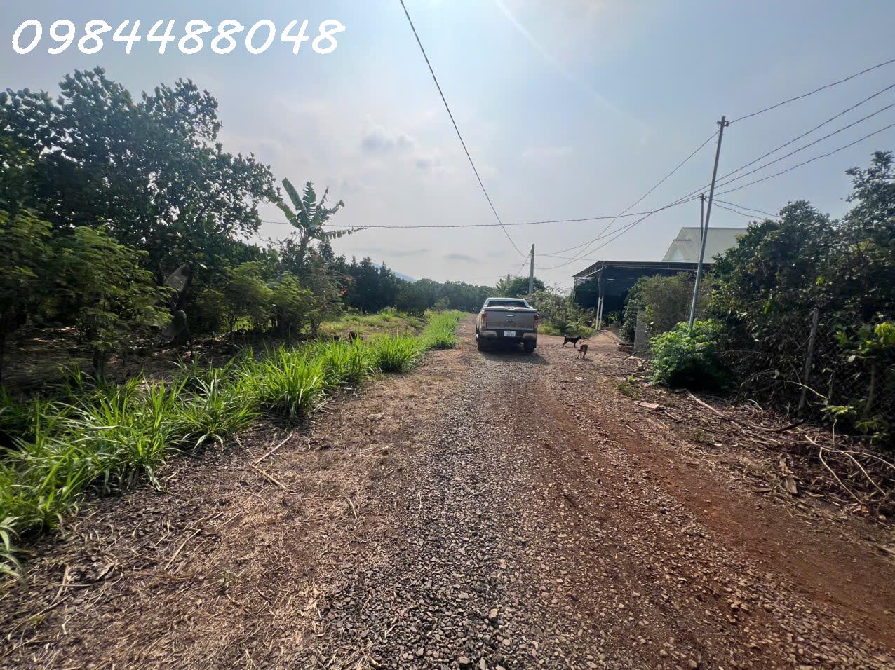  Bán vườn 3216m2, Xuân Phú, Xuân Lộc. Đồng Nai. Giá 1,8 ty. Lh 0984488048. 