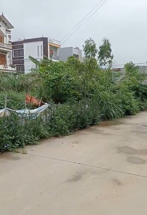  Chính chủ cần bán lô đất vàng siêu đẹp tại Sóc Sơn - Giá chỉ 12 triệu m2 - Vị trí đắc địa 