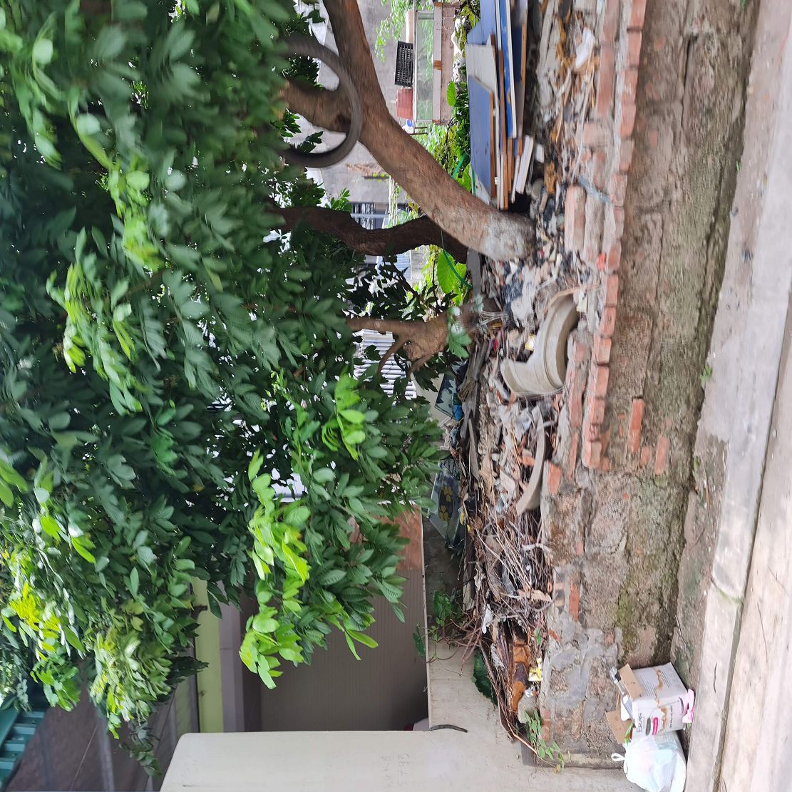  62m2 đất ngõ phố kinh doanh Cửu Việt, Trâu Quỳ, Gia Lâm. 8 tỷ 0xx. Lh 0989894845 