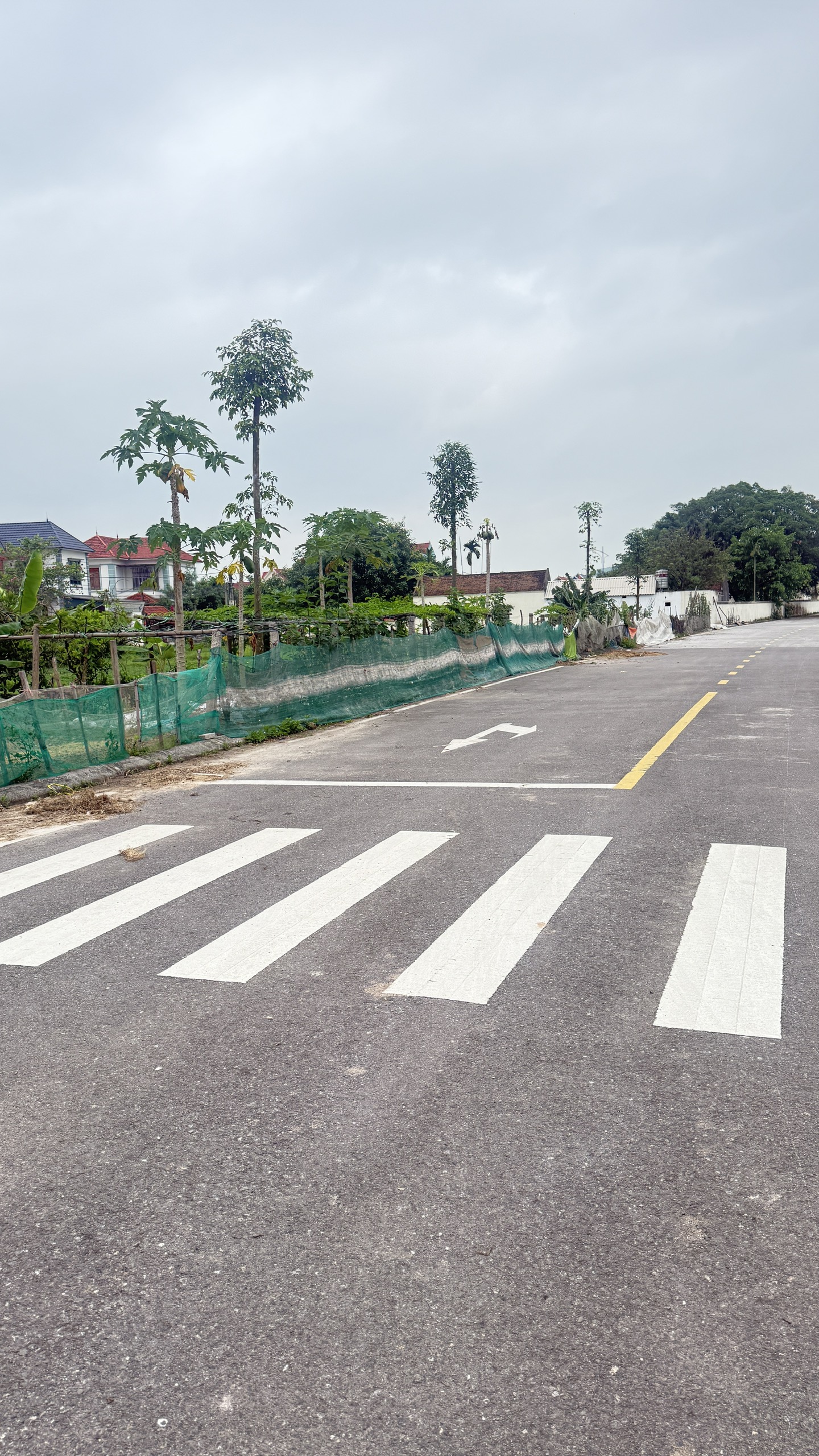 Bán đất TDP Kiểu, Phường Bích động, Thị Xã Việt Yên, Bắc Giang. 81,6 m2, MT 5,5m. Giá 3,1 tỷ 
