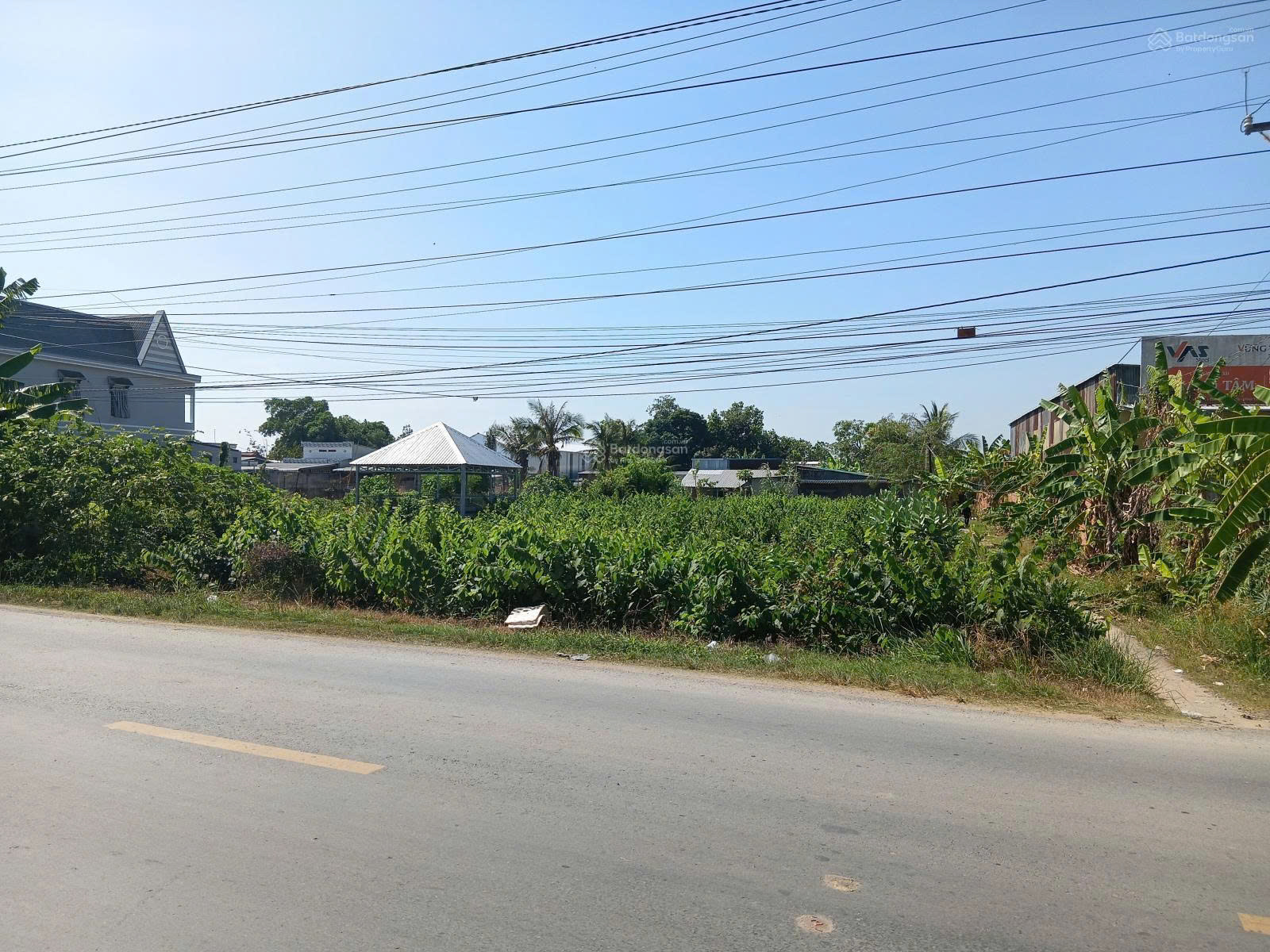  Bán Đất tại Quốc lộ 54, xã Lai Vung (xãTân Thành, Huyện Lai Vung) giá tốt chỉ với 4,1 tỷ 