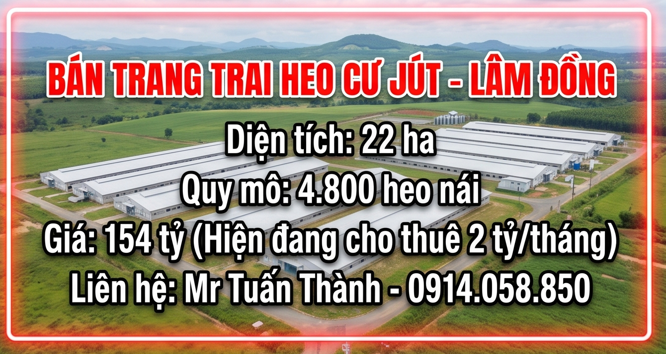  Bán Trang trại heo 22 Ha 4.800 heo nái -Cư Jut,  Đăk Nông. Đang cho thuê 2 tỷ/tháng 