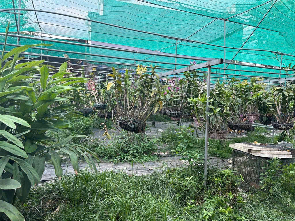 BÁN ĐẤT 2 MẶT TIỀN ĐƯỜNG DƯƠNG CÔNG KHI – DIỆN TÍCH LỚN – TIỀM NĂNG KHAI THÁC CAO 