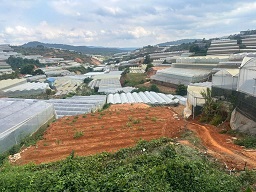  ► BÁN ĐẤT ĐẸP VIEW ĐÀ LẠT – DIỆN TÍCH LỚN, CÓ SẴN THỔ CƯ 