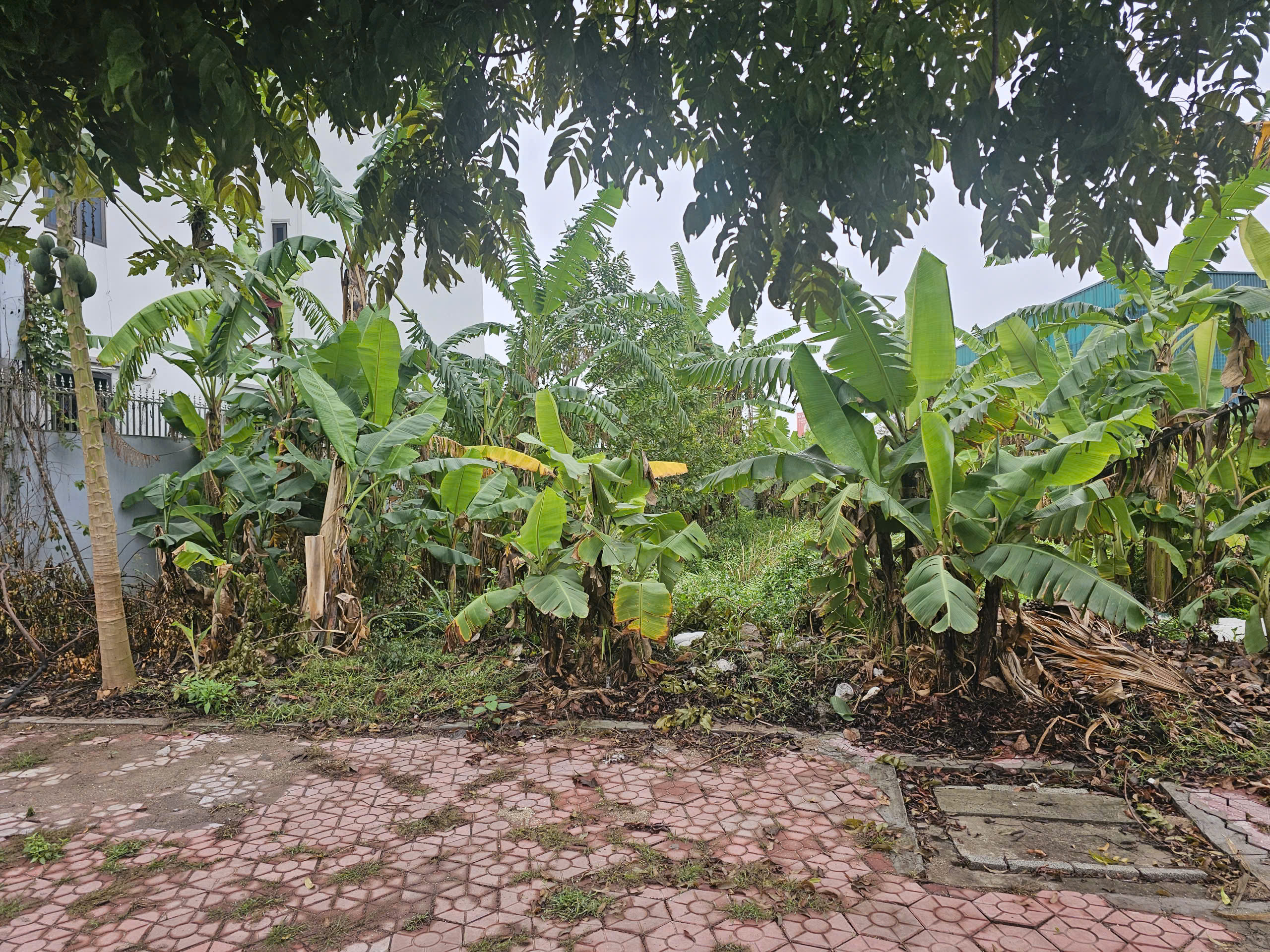  Cần bán lô đất đẹp thuộc khu đô thị quy hoạch bài bản phía Tây cầu Phú Lương. 