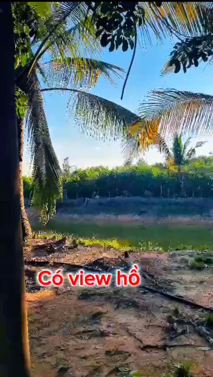  ĐẦU TƯ LÀ SINH LỜI - CHÍNH CHỦ CẦN BÁN ĐẤT VIEW NHÀ YẾN – Xã Trà Tân, Bình Thuận 