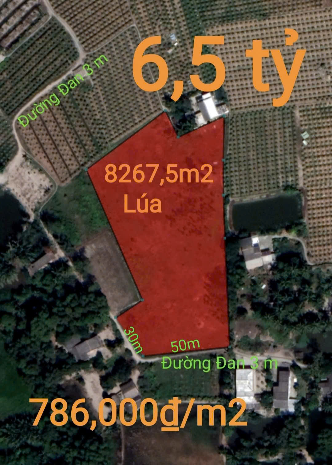  Bán lô đất lúa làm dự án dân cư giá 6,5 tỷ 