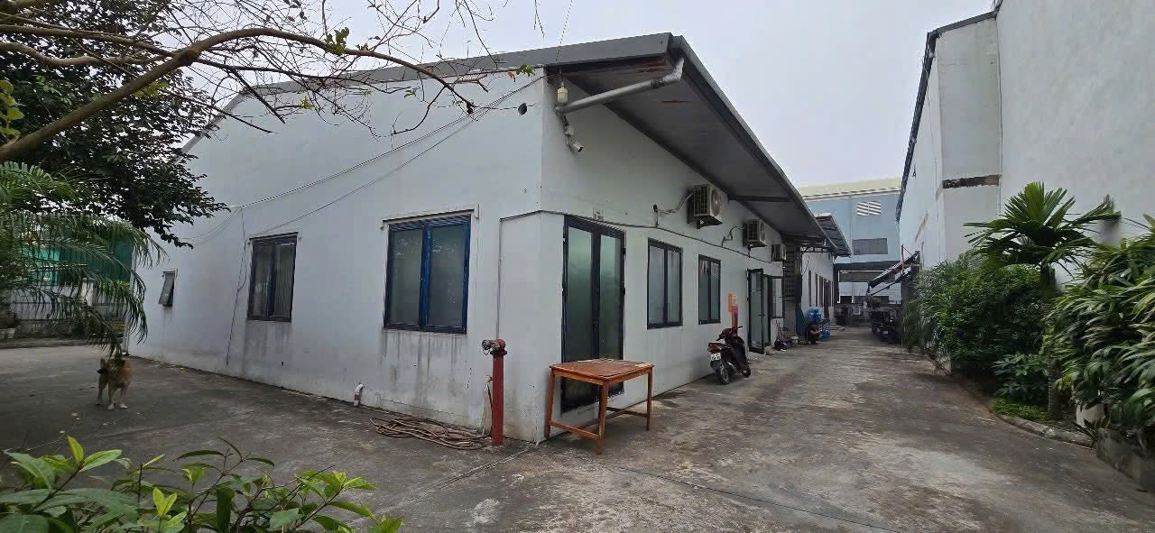 Chính chủ bán siêu phẩm đất KCN Ninh Hiệp Gia Lâm 1.200m2 - Đường container 15m, sẵn kho xưởng 