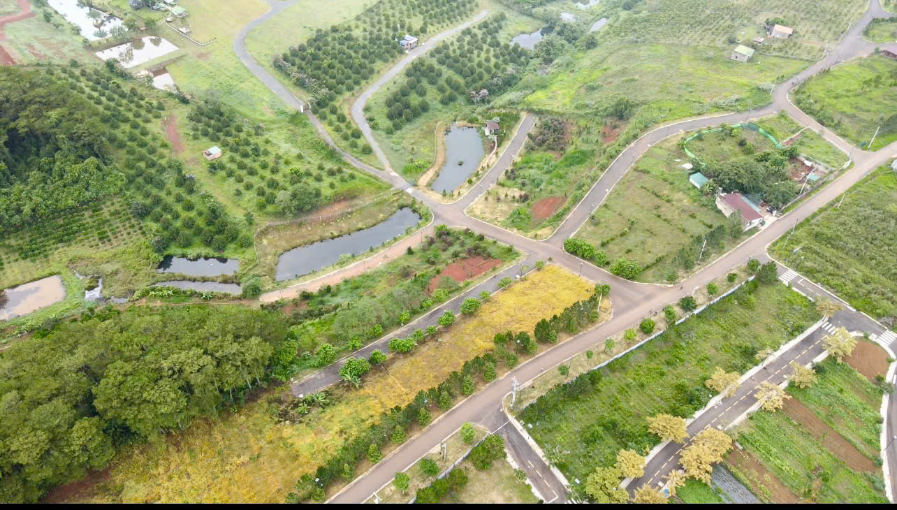  BÁN GẤP LÔ ĐẤT VIEW ĐỒI THÔNG - GẦN ĐỒI CHÈ TÂM CHÂU BẢO LỘC - TRẢ TRƯỚC 299 TRIỆU NHẬN NGAY ĐẤT 