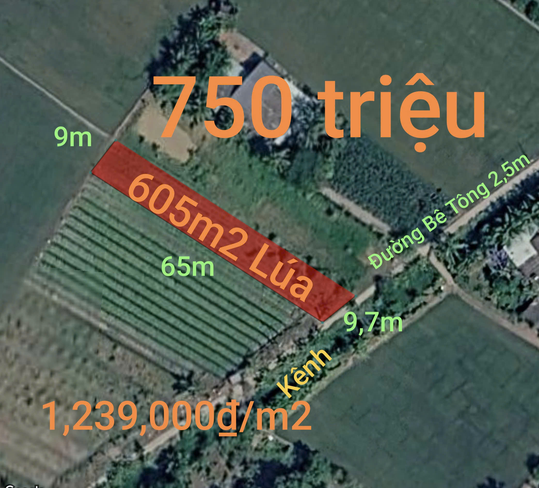  Bán lô đất lúa chuyển thổ đường bê tông 2,5m giá 750 triệu 